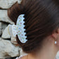 Rainbow Claw White